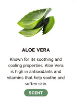 Cool Fresh Aloe - Dr. Squatch Soap